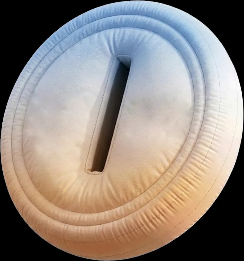 Coin icon representing cost-effective pricing