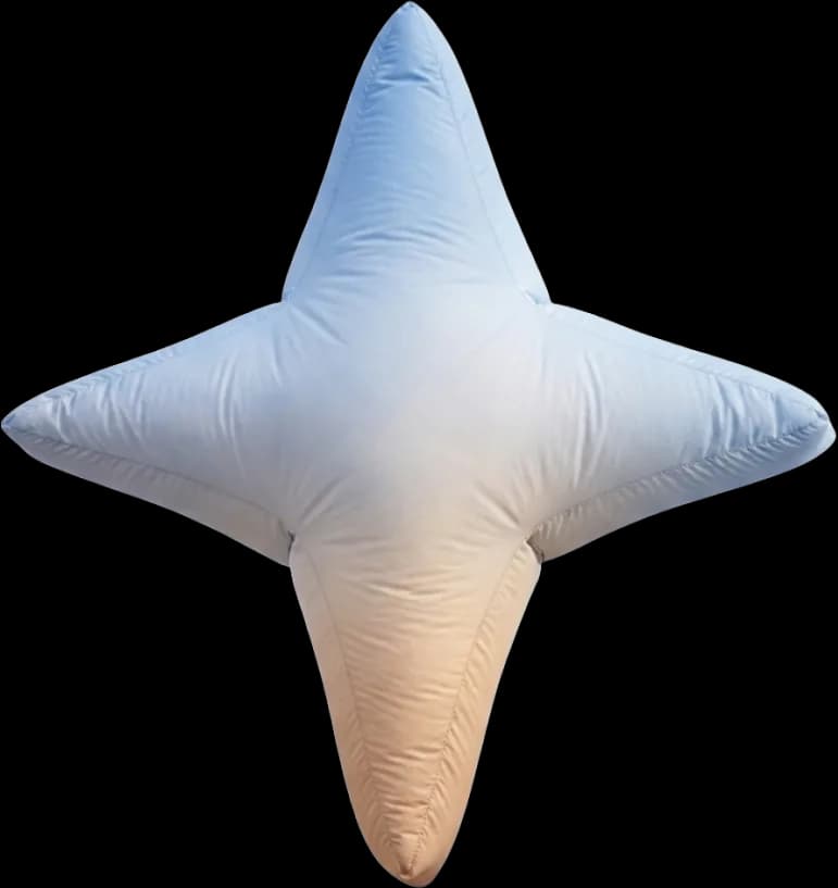 Star icon representing reliable agents